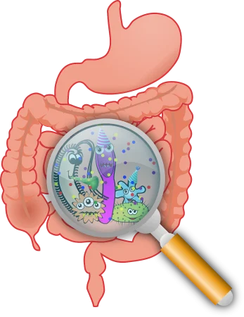 letní střevní potíže